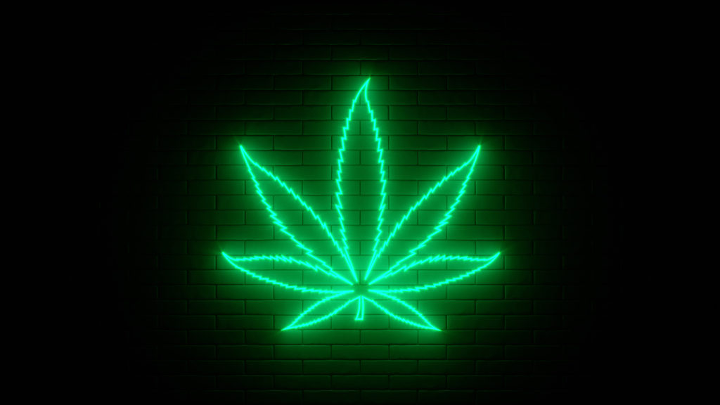 Cannabis Aktien