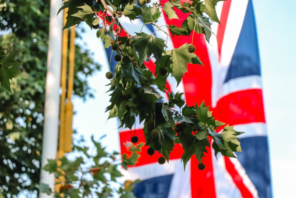 United Kingdom flag near green leaf tree during daytime